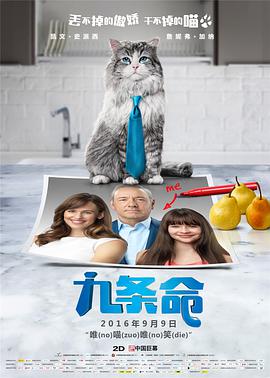 亚洲国产精品拍拍拍拍在线