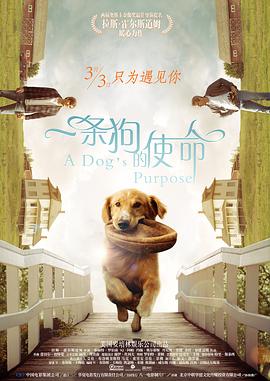 再给我看一次吧
