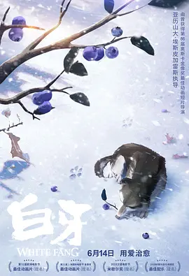 精品蓝导航视频福利在线