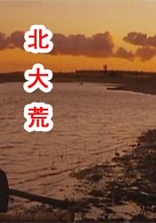 免费看污黄网站在线观看