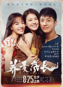 极强的姑娘
