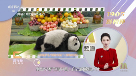 亚洲日韩精品欧美一区二区一